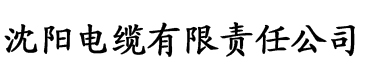 国产亚洲精品a在线观看电缆厂logo